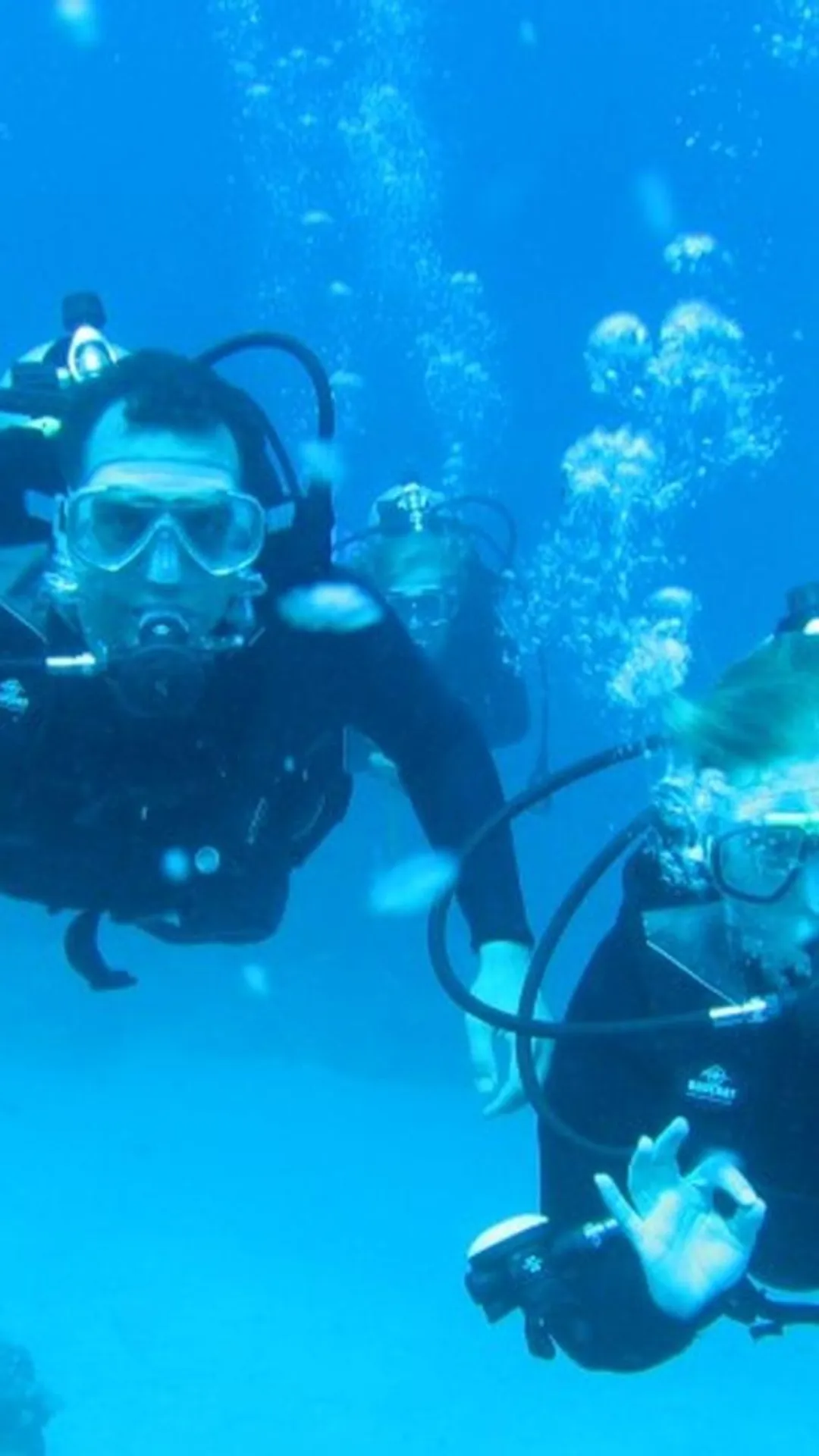 @dahablearntodive