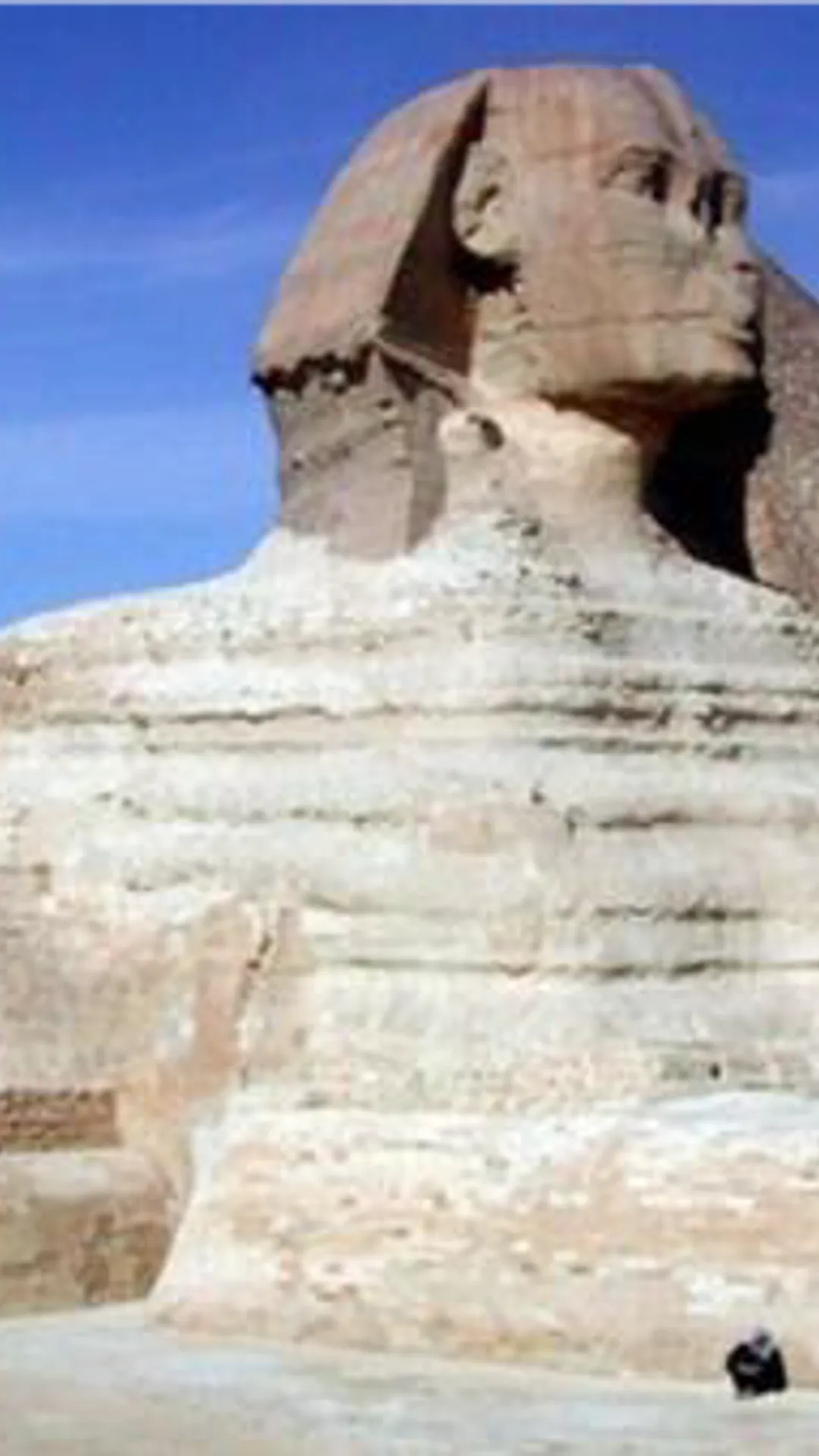 @sphinx