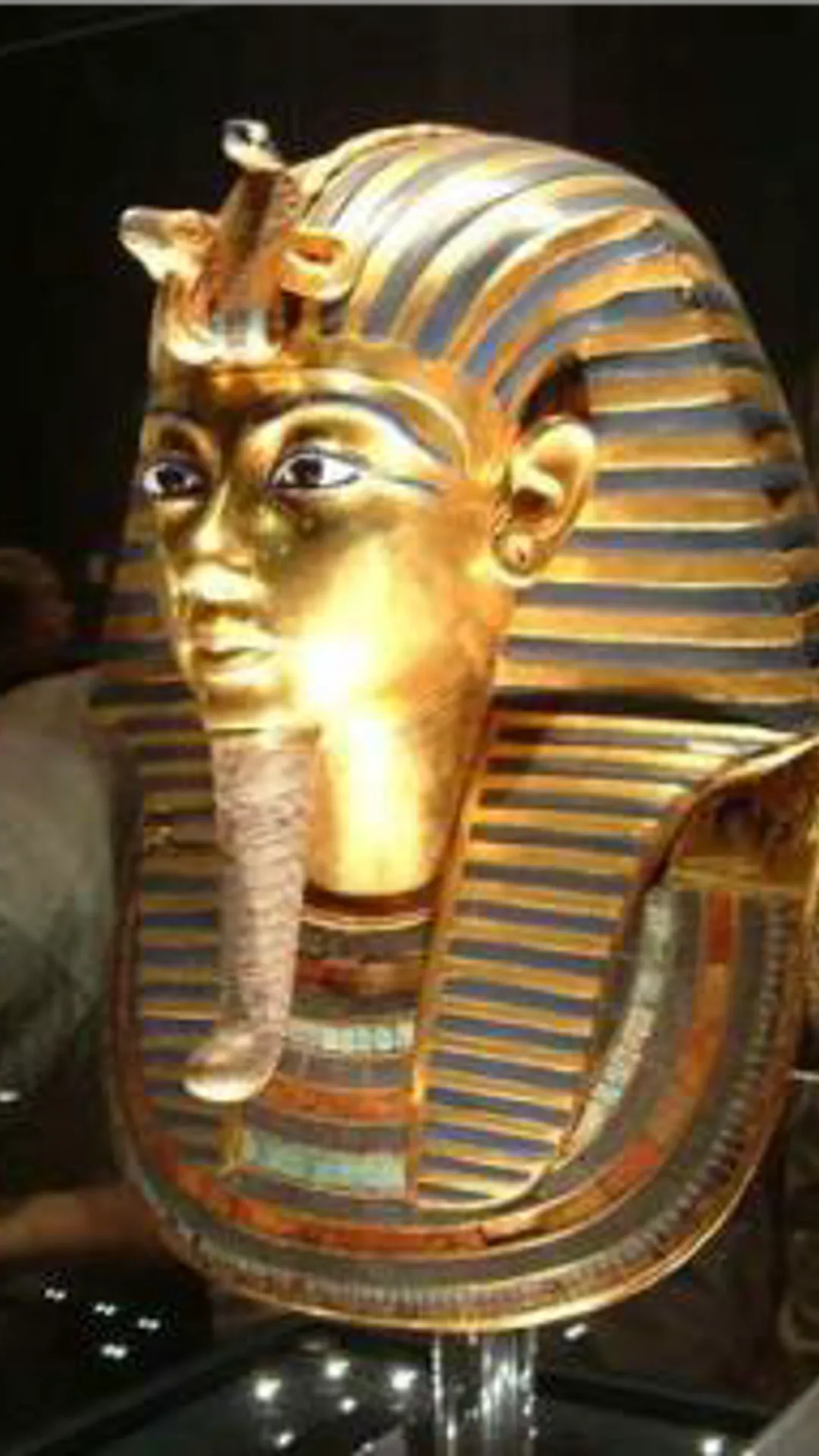 @cairomuseum